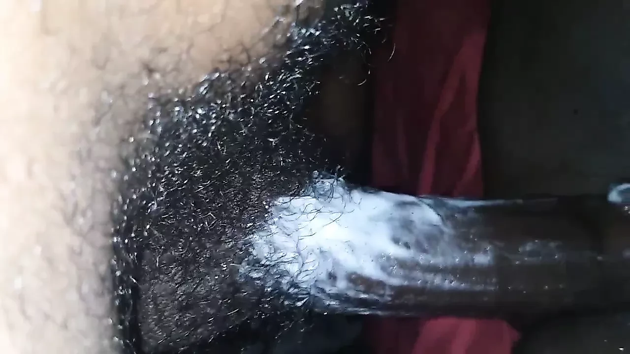 Morning glory