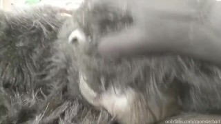 Do You Want a Banana?